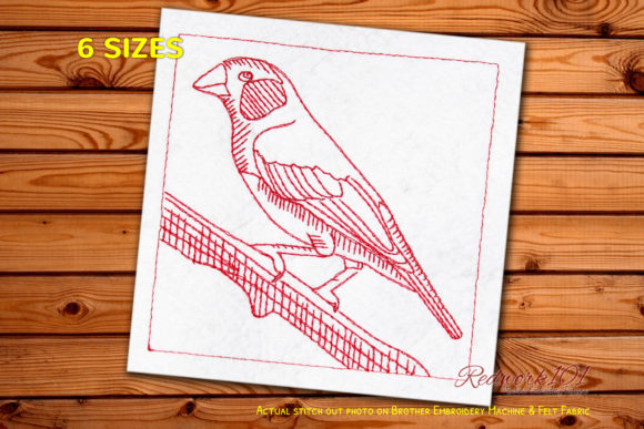 Charming Finche Bird Redwork Embroidery
